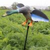 VARADOMO Canard de Simulation de télécommande électrique d’appâts de Chasse rotatifs en Plein air leurres de colvert de Canard en Plastique réalistes pour l’extérieur, Le Patio, l’arrière-Cour