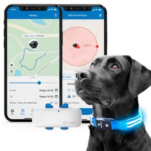 Collier GPS pour Chien Localisation en Direct, portée illimitée