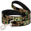 Buckle Down Laisse pour Chien