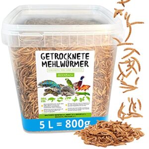 MeerBach & Rose vers de Farine Séchés dans Un Seau - 800g= 5000ml - Nourriture pour Poissons, Oiseaux Tortues, Hérissons, Rongeurs et Reptiles
