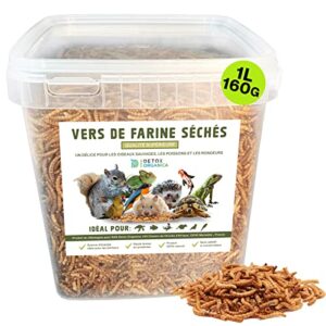 vers de Farine Séchés [160g équivalent 1000ml, Qualité Premium ] Friandise Oiseaux, Hérissons, Tortues, Reptiles, Poissons, Rongeurs - Animaux Sauvages, Compagnie | 100% Naturel, sans additifs (Seau)