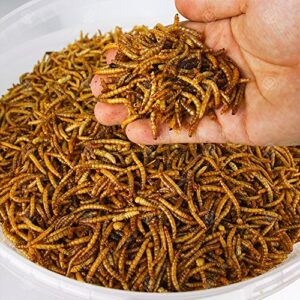 5 kg de vers de farine séchés pour oiseaux sauvages