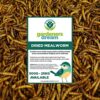 Vers de farine séchés GardenersDream – Friandises nutritives pour oiseaux sauvages (5kg)
