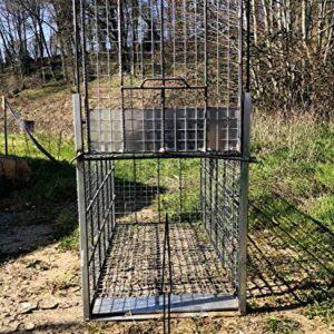 TRAPGALLIER piège Cage Capture Sangliers 160 x80 x80 cm