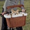 Petsafe Solvit Panier de vélo en Osier pour Chiens et Chats, élégant et résistant aux intempéries, Pare-Soleil Amovible, idéal pour Les Animaux jusqu’à 5,9 kg