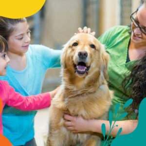 Randonnée avec Chien