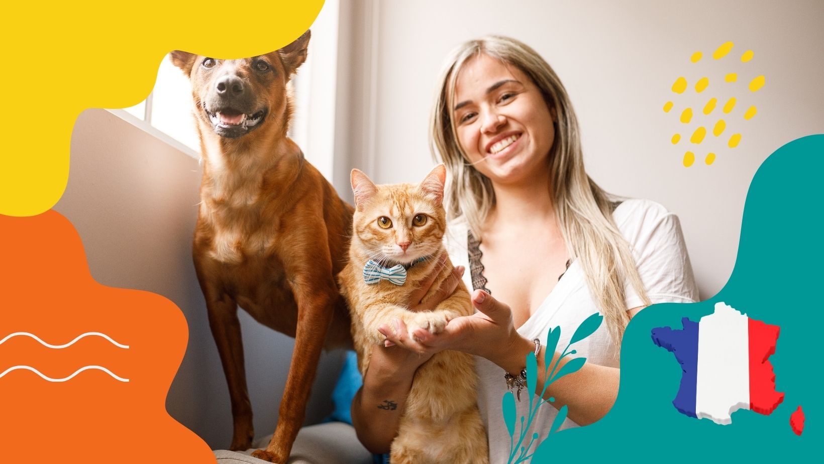 Les Chats en Été : Prendre Soin de Son Félin Sous le Soleil