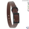 Collier Boucle Marron 60cm Pour Chien CTECH CaniHunt