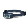 Collier anti-aboiement automatique rechargeable spécial petit chien