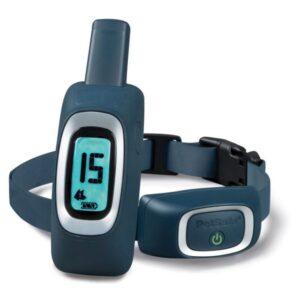 Collier de dressage pour chiens de plus de 3.6 kgs dès 6 mois