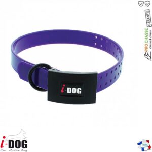 Collier Premium Violet avec boucle de protection pour Chien | Idog