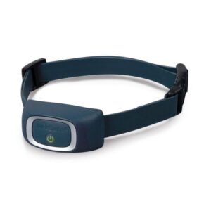 Collier supplémentaire pour système de dressage pour chien