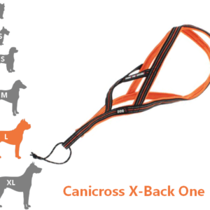 ONE - Harnais Canicross pour grand chien X-Back idog