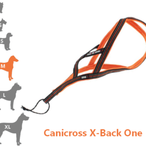 ONE - Harnais Canicross pour moyen chien  X-Back idog
