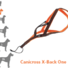 ONE – Harnais Canicross pour très petit chien X-Back idog
