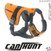 Harnais M pour Chien de Chasse – Signalisation CaniHunt