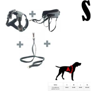 Style Kit Complet Canicross TAILLE S - Multi Activités Avec Chien
