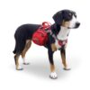 Sac à Dos Pour Chien avec harnais intégré | Rouge Taille Moyenne – Kurgo