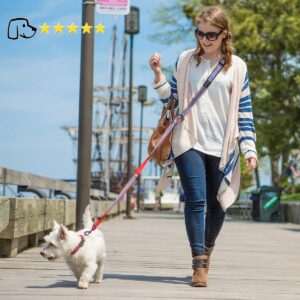 Laisse Ajustable Pour Chien Multifonctions | Kurgo Quantum