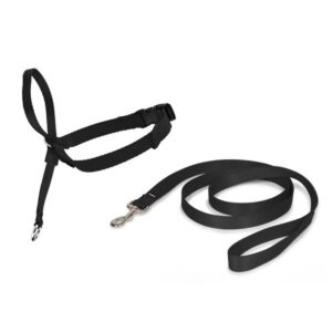 Licol pour petit chien - Easy Walk