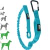 ALM – Longe opale Canicross I-Dog 190 cm pour grand chien