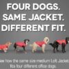 Manteau Gilet pour Chien Réversible Imperméable | Kurgo
