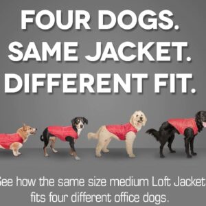 Manteau Gilet pour Chien Réversible Imperméable | Kurgo