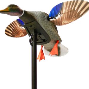 Mini canard colvert pour la chasse au canard - Mojo Dark