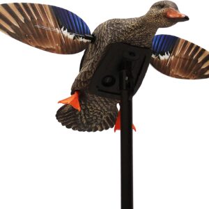 Mini canard en forme de colvert pour la chasse au canard - Mojo