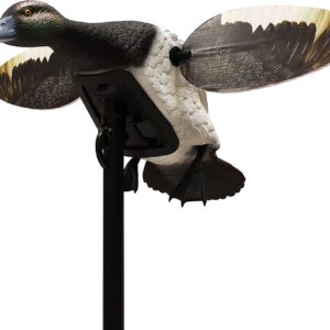 Morillon à ailes tournantes Elite Series - Mojo HW2493