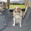 Protège-siège pour l’arrière de la voiture | Chien Kurgo Heather