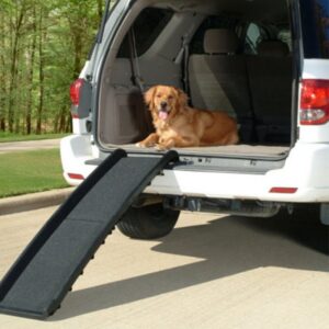 Rampe Pliable Ultralight en 2 parties Pour Chien