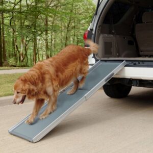 Rampe Télescopique pour Chien ( Deluxe 2 parties )