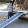 Rampe Télescopique Pour Chien de Grande Taille Jusqu’à 135KG Solvit