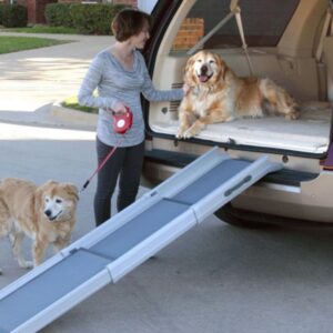 Rampe Télescopique Pour Chien de Grande Taille Jusqu'à 135KG Solvit