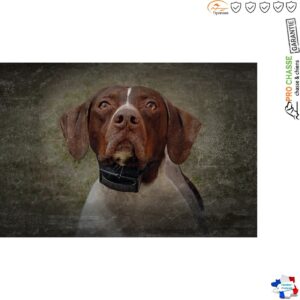 Chargeur Pour Collier SportDog SBC-10R-E RFA-106