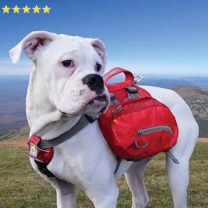 Sac à Dos Pour Chien avec harnais intégré | Rouge Grande Taille - Big Baxter