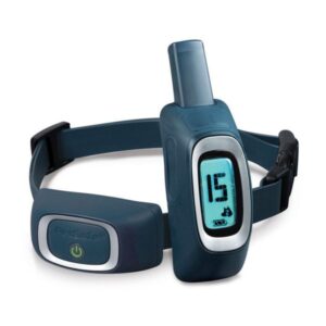 Collier de dressage spécial petits chiens