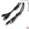 Câble USB Tek 2.0 SportDog SAC00-13822