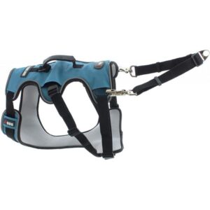 CONFORT - Harnais canicross I-Dog pour petit chien