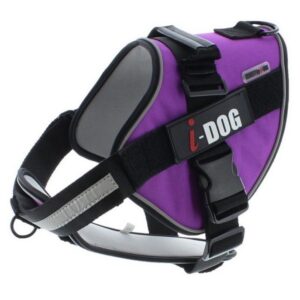 NEOCITY - Harnais pour moyen chien