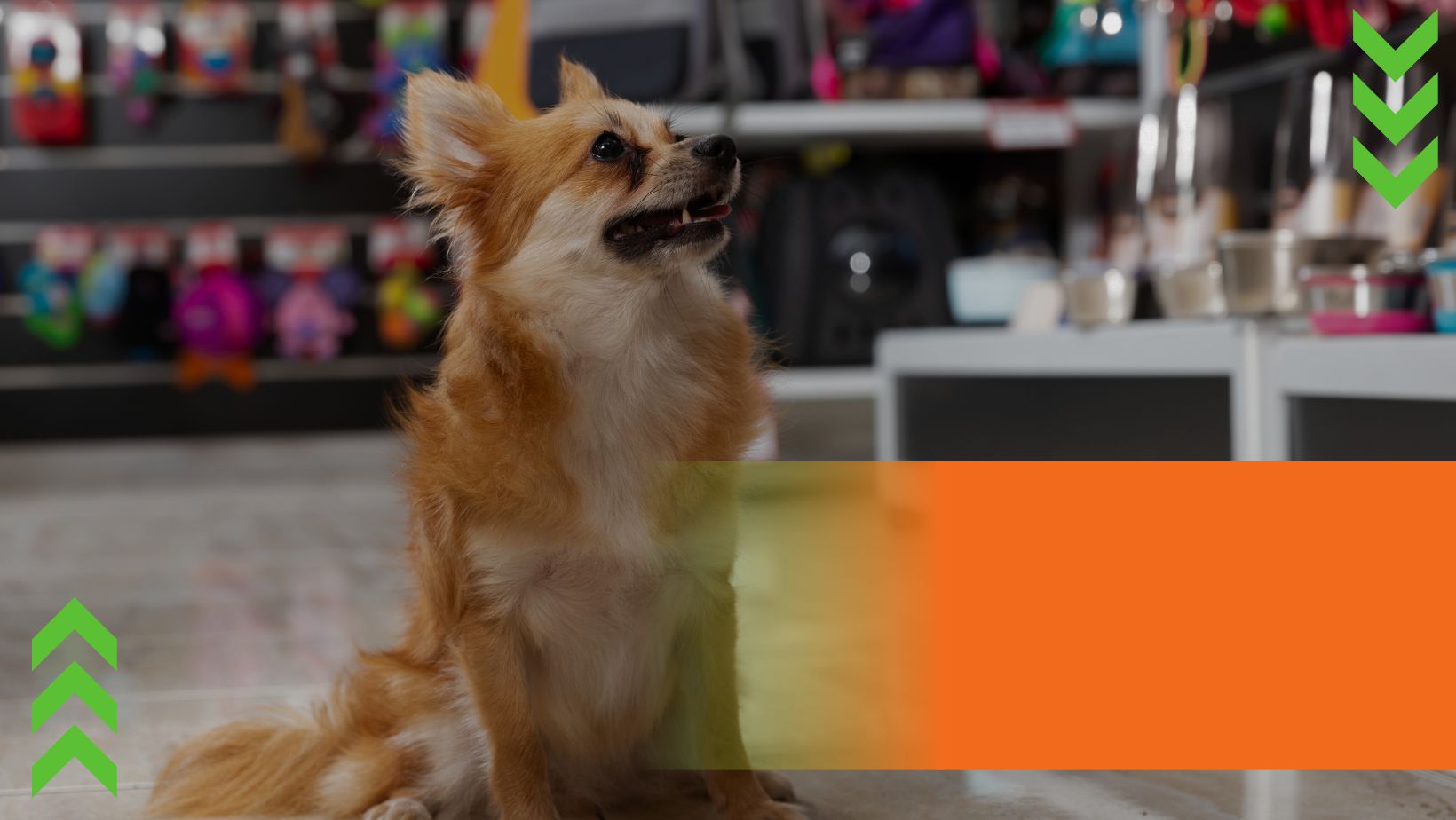 Shop Banner