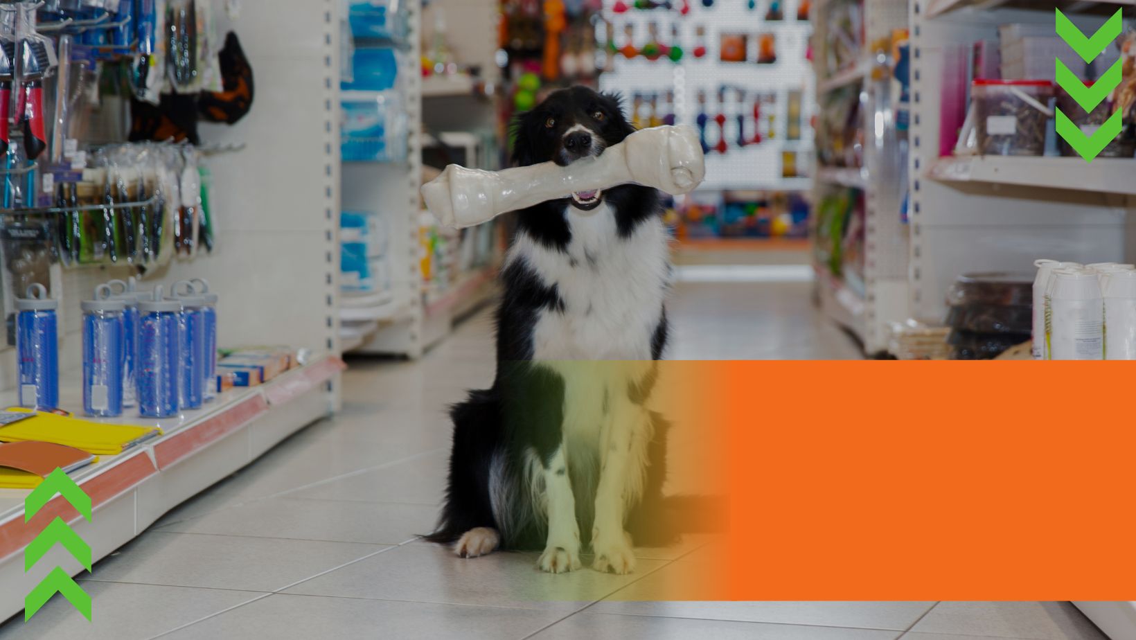 Shop Banner
