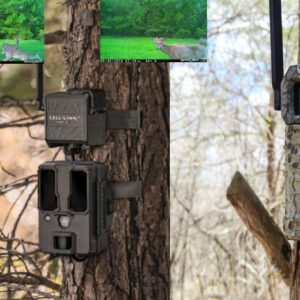 Vidéosurveillance